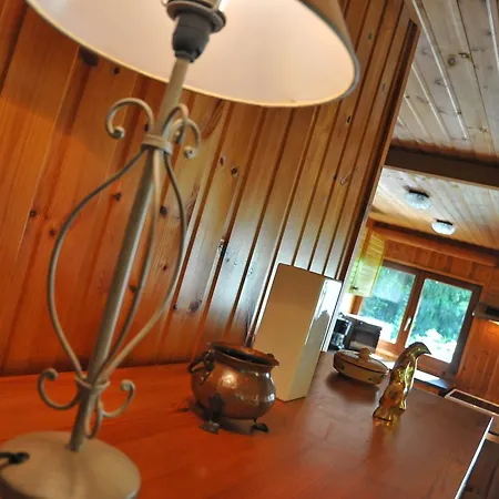 Hortensias * Somme-Leuze